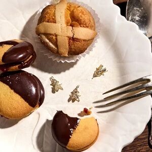 Vito’s fly on the wall charm